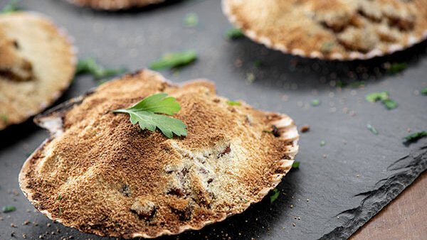 VIEIRAS GRATINADAS AL HORNO