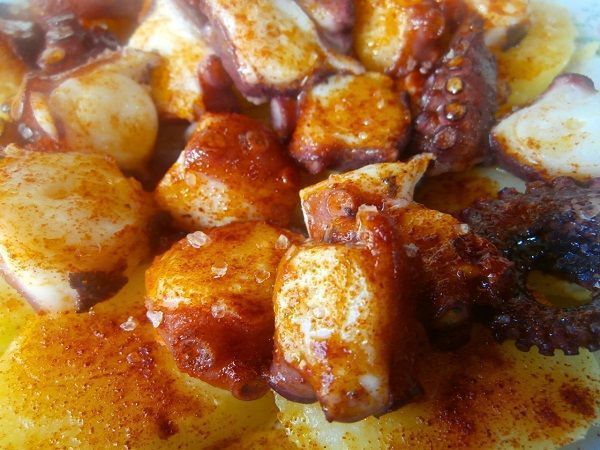 El pulpo a la gallega es una preparación típica de Galicia (España). Aunque es un plato que se ha extendido por todo el país. Sus ingredientes son pulpo, patata, aceite de oliva y pimentón