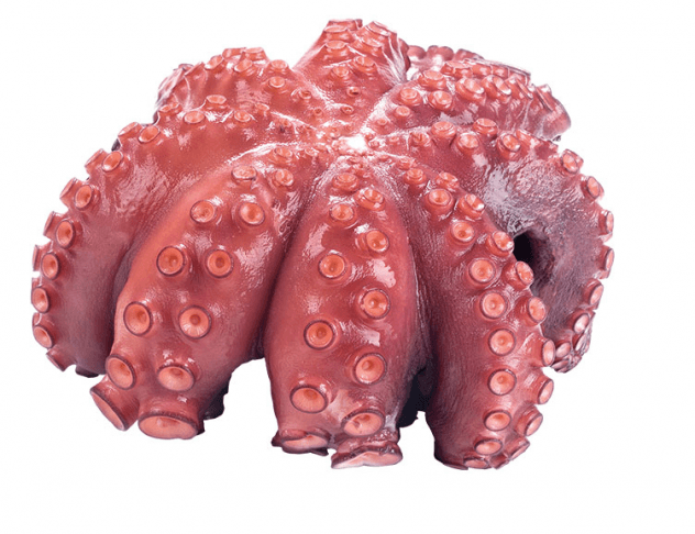 Como Cocer Pulpo Bien Explicado Cocina Casera Y Facil