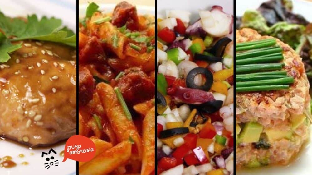 5 Recetas rapidas, faciles y... ¡nutritivas! - Cocina Casera y Facil 5 Recetas rapidas, faciles y... ¡nutritivas! - Cocina Casera y Facil